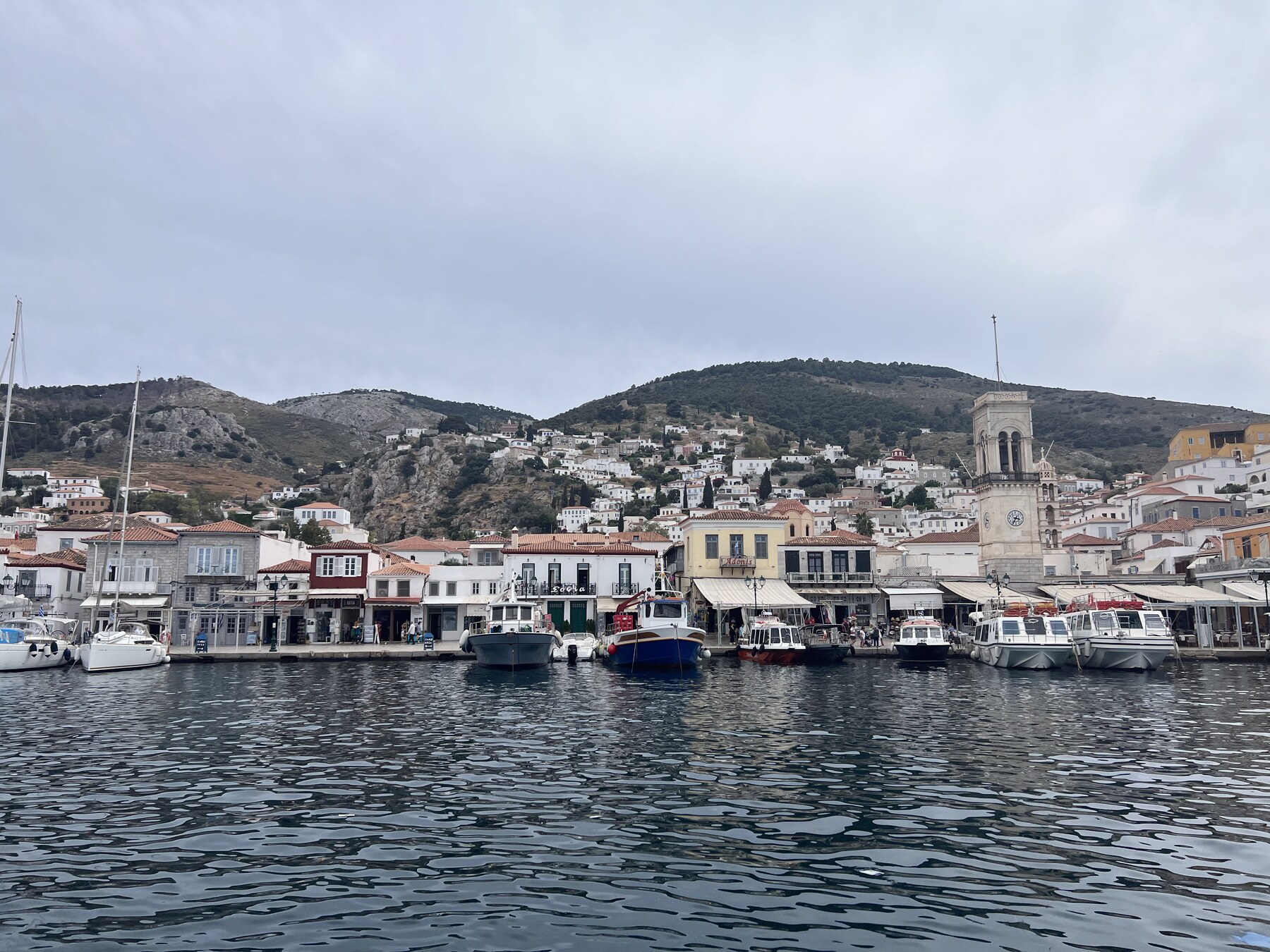 Hydra